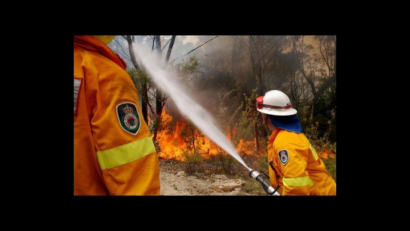 Incendi, fiamme in pineta Marina Grosseto: ripreso intervento aerei