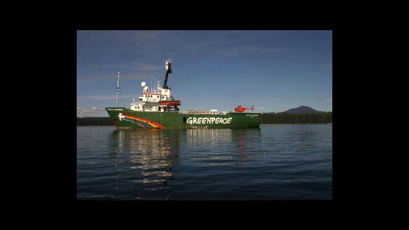Russia, direttore Greenpeace scrive a Putin per chiedere incontro