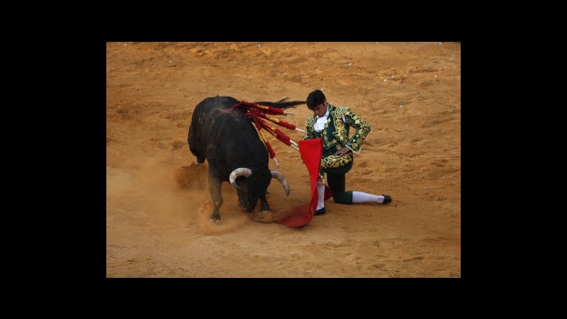 Spagna, da oggi le corride tornano in diretta tv