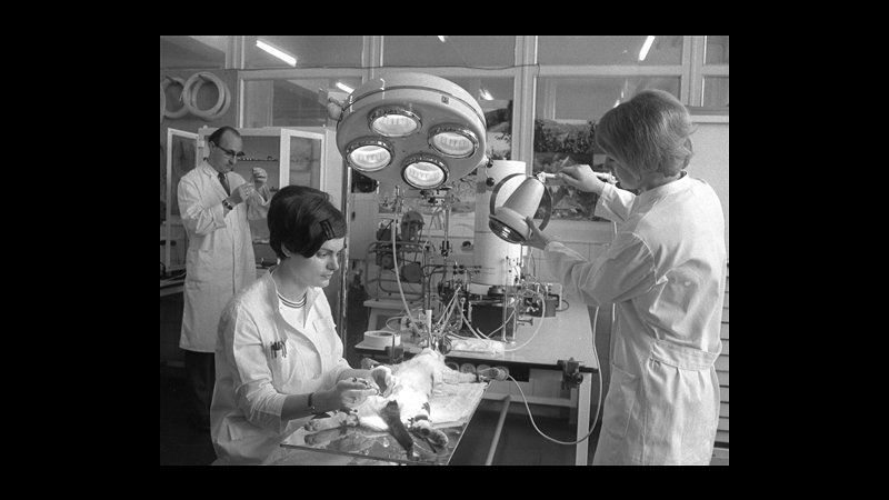 Scuse per farmaco Talidomide dopo 50 anni, provocò malformazioni bimbi