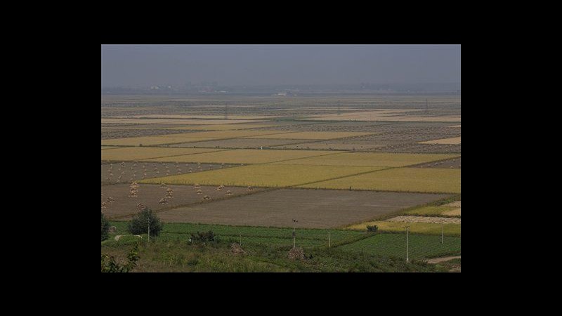 Nord Corea si prepara a liberalizzazione parziale del settore agricolo