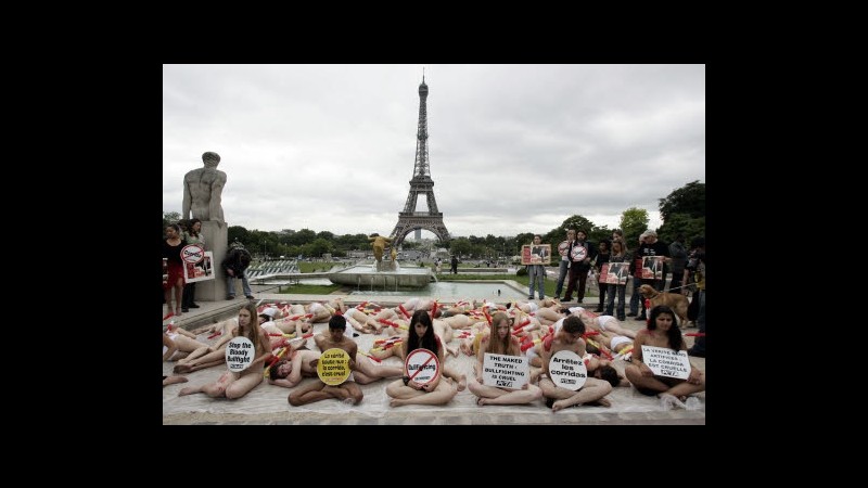 Francia, respinto ricorso animalisti: Corrida rispetta Costituzione