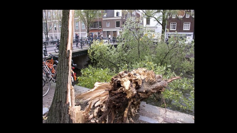 Tempesta San Giuda, salgono a 15 i morti, migliaia senza luce