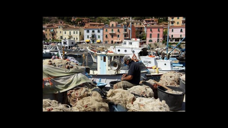 Ue, Parlamento boccia sovvenzioni per costruzione navi da pesca