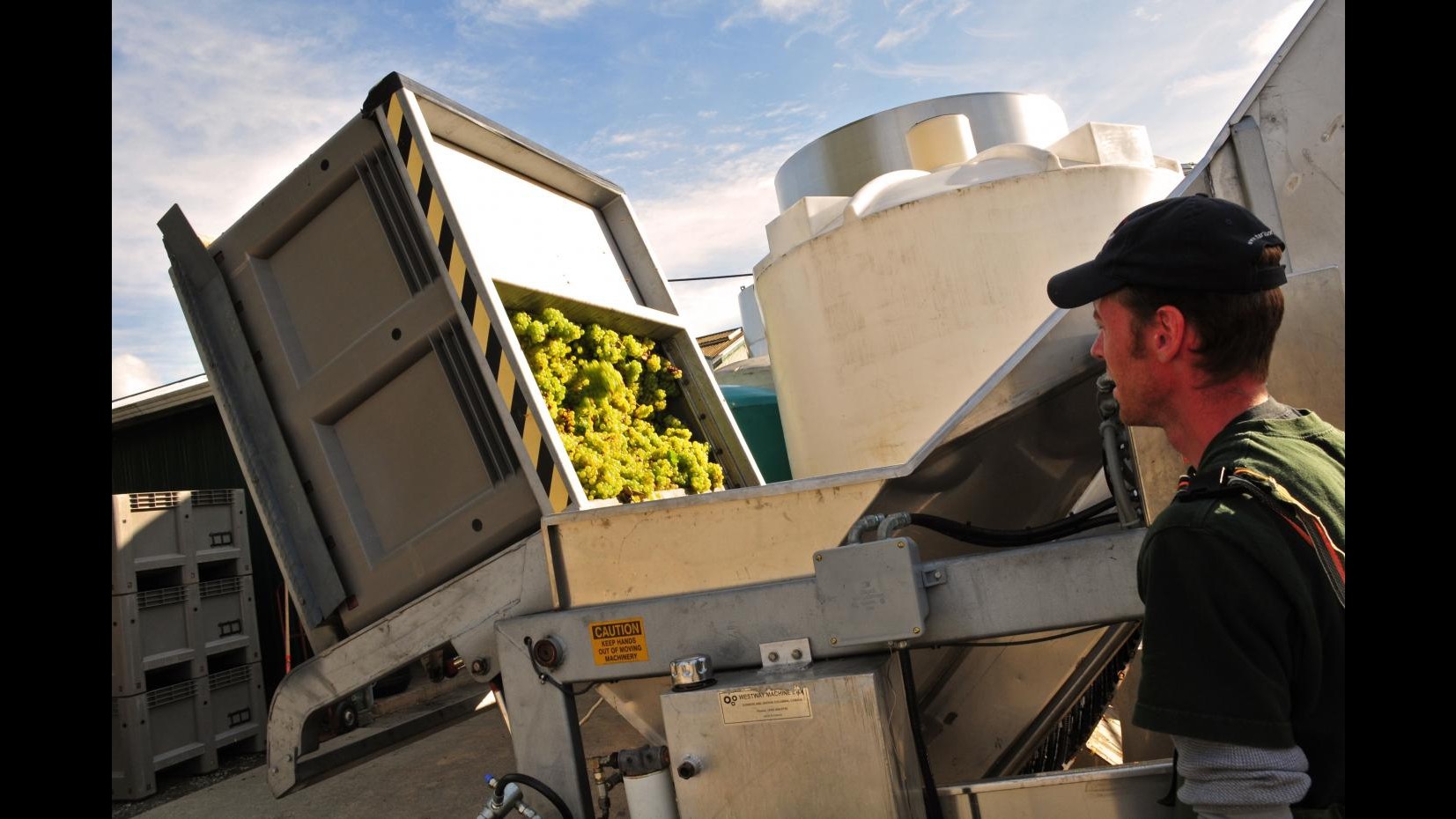 Coldiretti: vendemmia mai così avara nel mondo, prezzi al rialzo