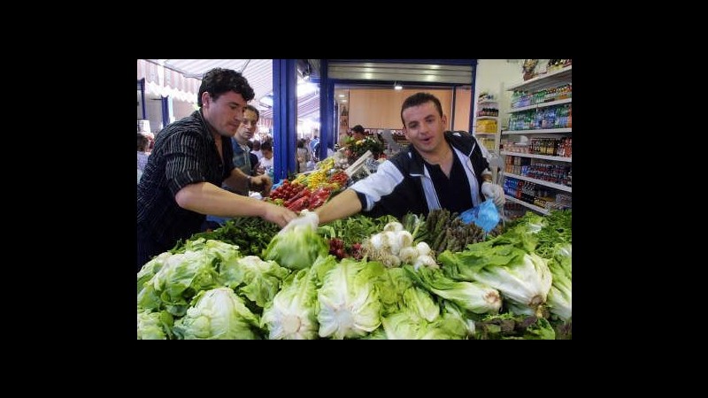 Enpa: Dieta vegetariana unica soluzione alla fame nel mondo