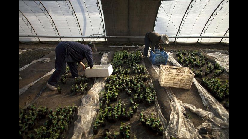 Caserta, scoperti 23 lavoratori in nero: erano pagati 2 euro all’ora