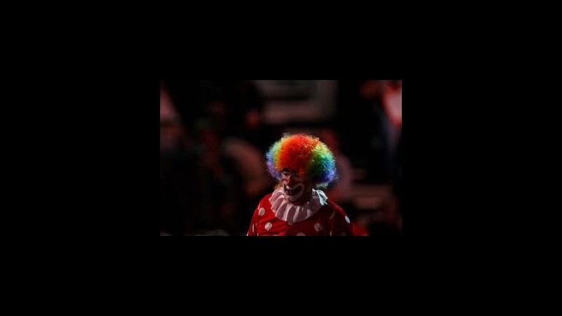 Clown a Montecitorio: Ente circhi adotta norme tutela animali