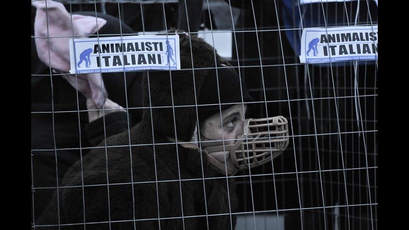 Partito animalista europeo: Dietro caso Simonsen lobby farmaceutica