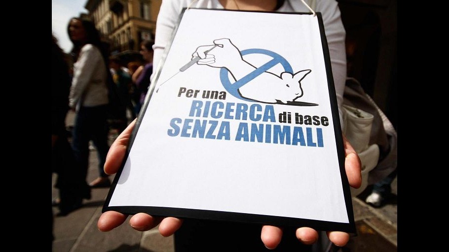 Caterina sul web: Io viva grazie ad animali sacrificati, studio per salvarli. Renzi: Sto con lei