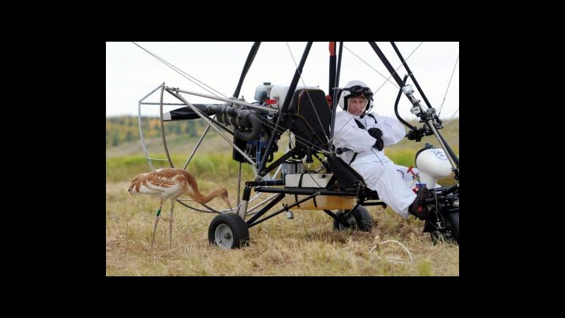 Russia, giallo su infortunio Putin dopo volo insieme a gru siberiane