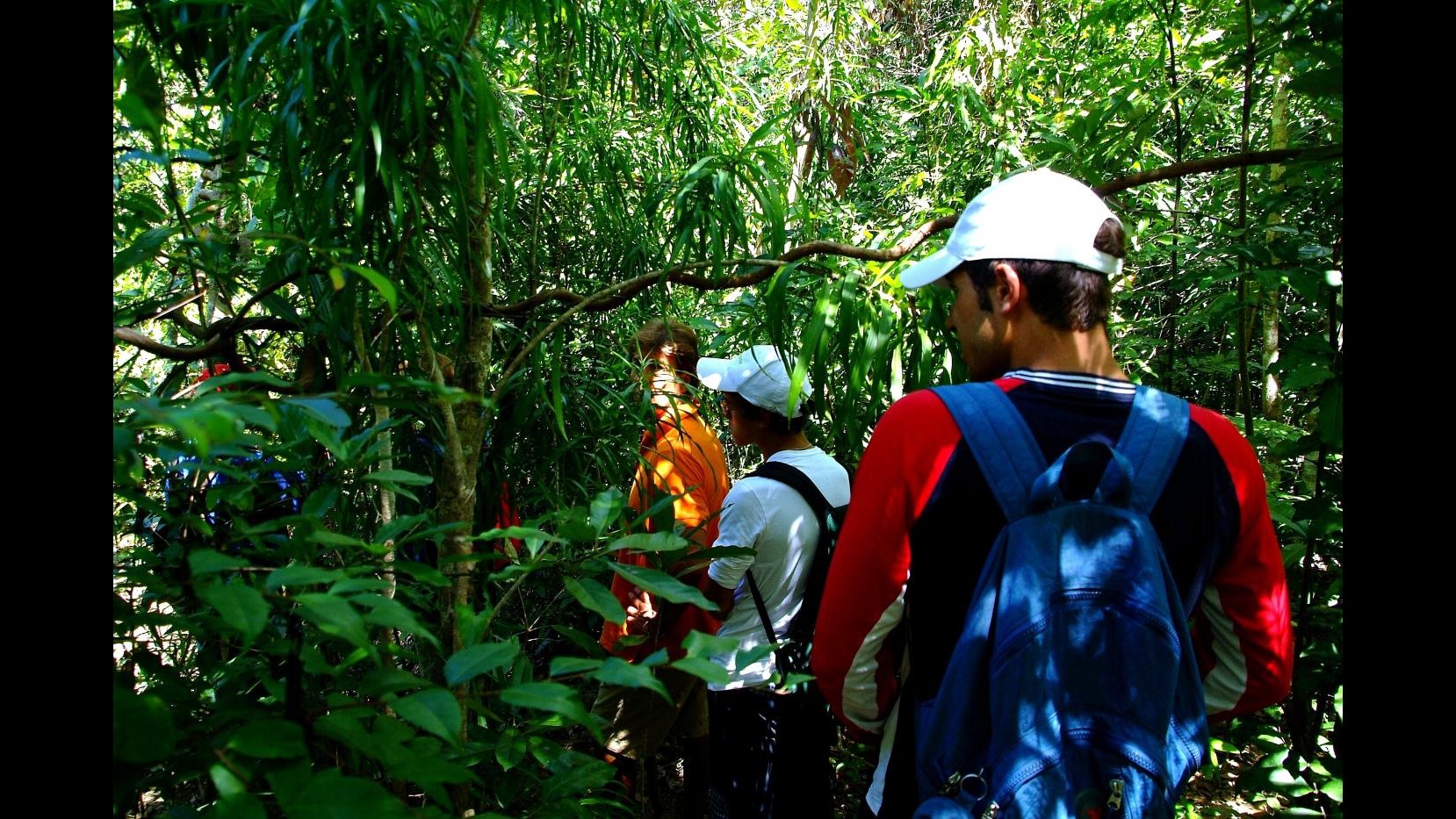 Italiano sparito in Madagascar, Farnesina: in corso ricerche