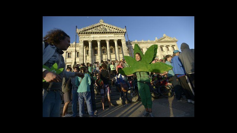 Uruguay legalizza la marijuana: in arrivo licenze per coltivazione