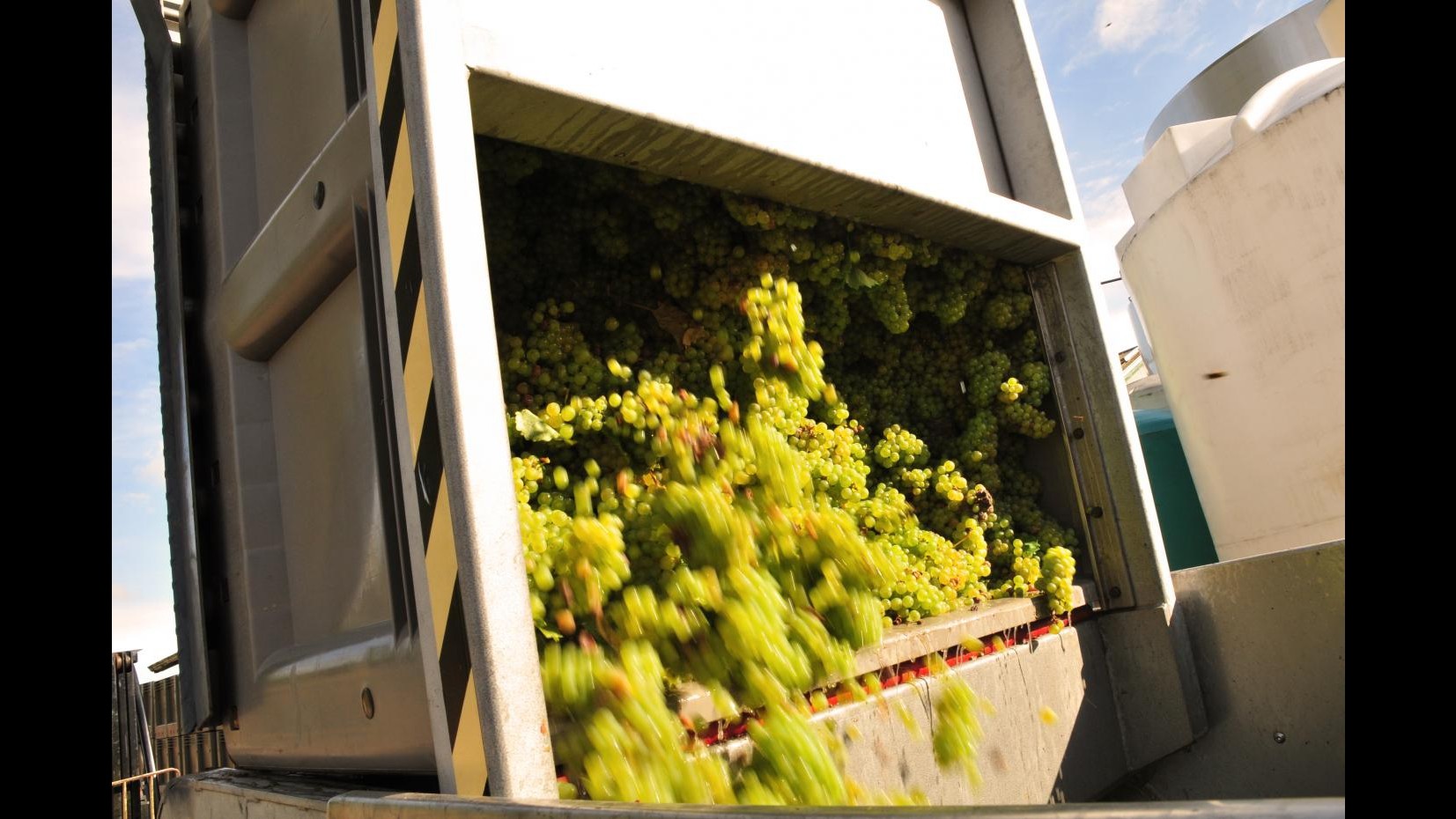 Trovate 3.100 tonnellate di vino prodotto in nero tra Bari e Benevento