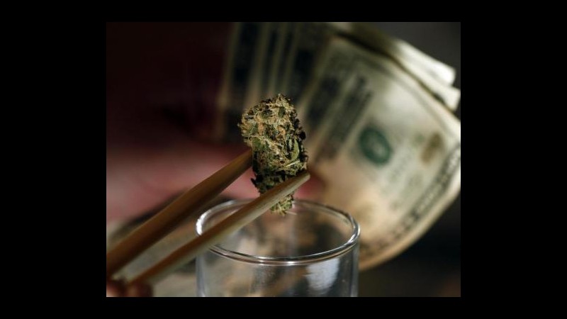Usa 2012, Colorado e Washington legalizzano la marijuana