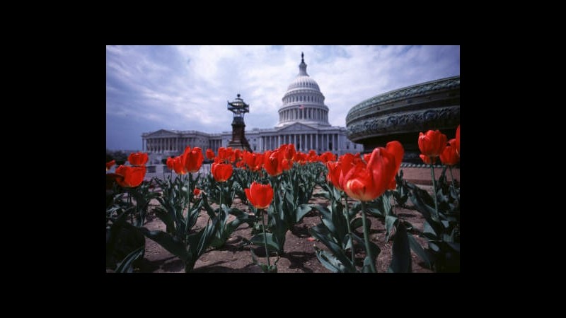 Usa 2012, repubblicani in testa alla Camera: 103 seggi su 435