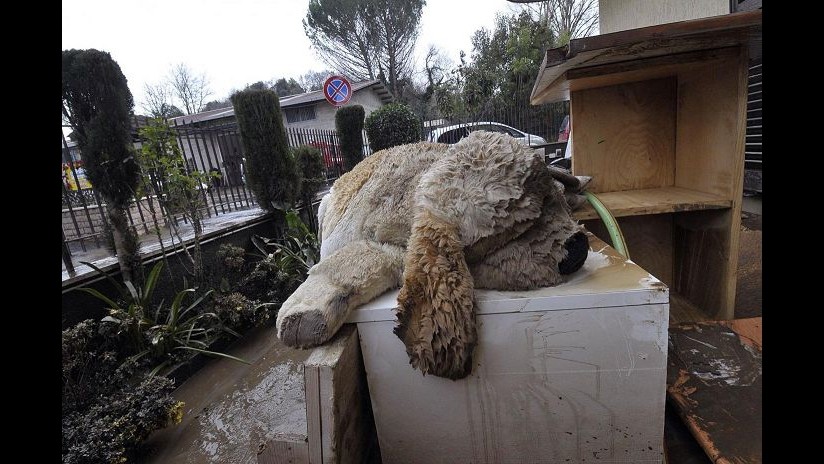 Maltempo, a Roma pioggia concede tregua ma situazione resta drammatica