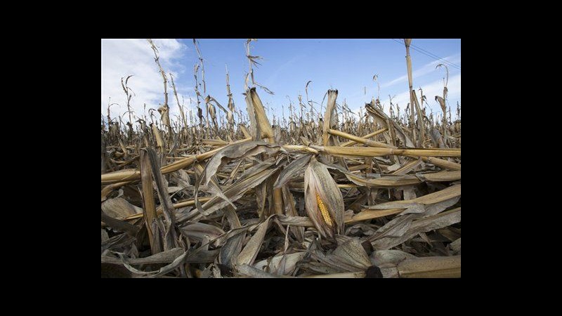 Clima, allarme Wmo: 2012 tra gli anni più caldi della storia