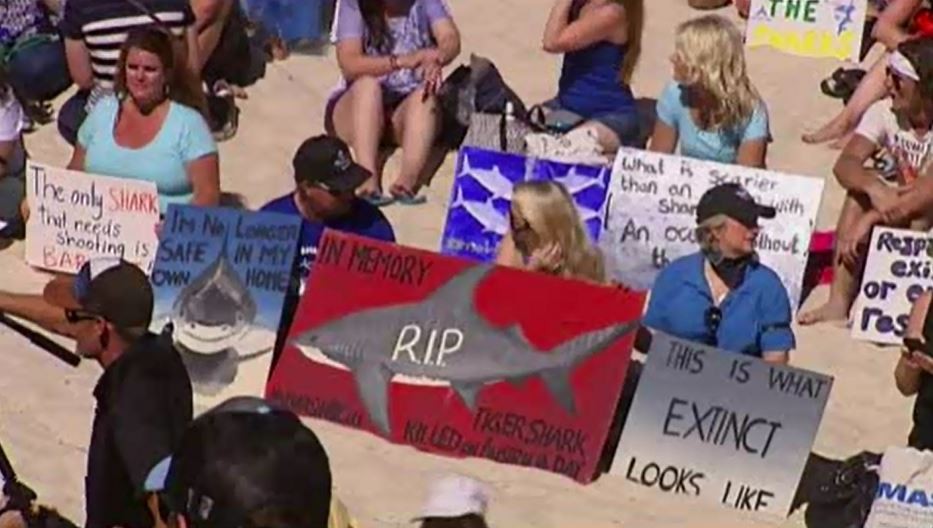 Australia, migliaia sulle spiagge a difesa degli squali