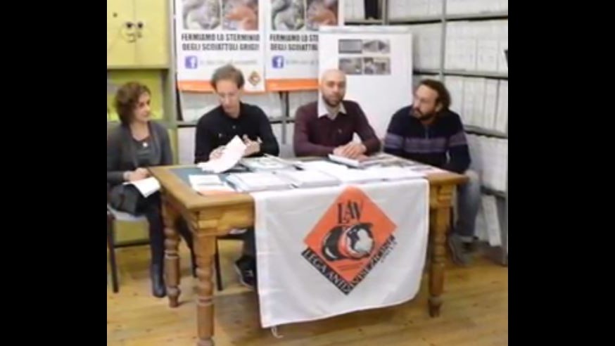 ‘Fermiamo lo sterminio degli scoiattoli grigi’: 20mila firme dalla Lav