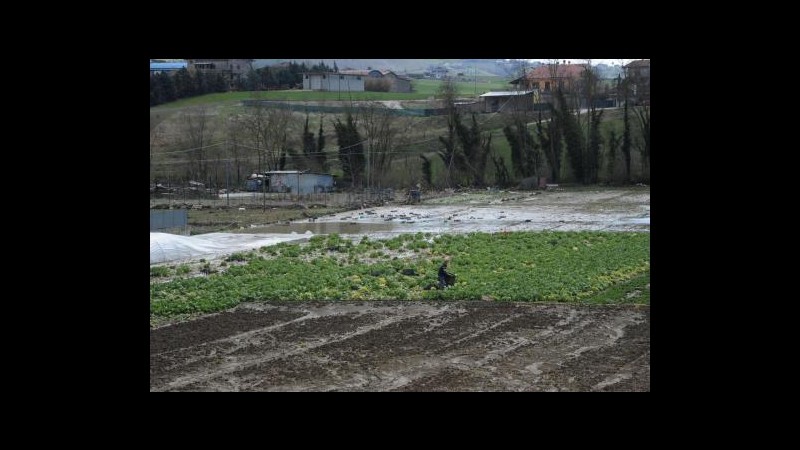 Maltempo, Coldiretti: Dissesto idrogeologico? Colpa delle nutrie