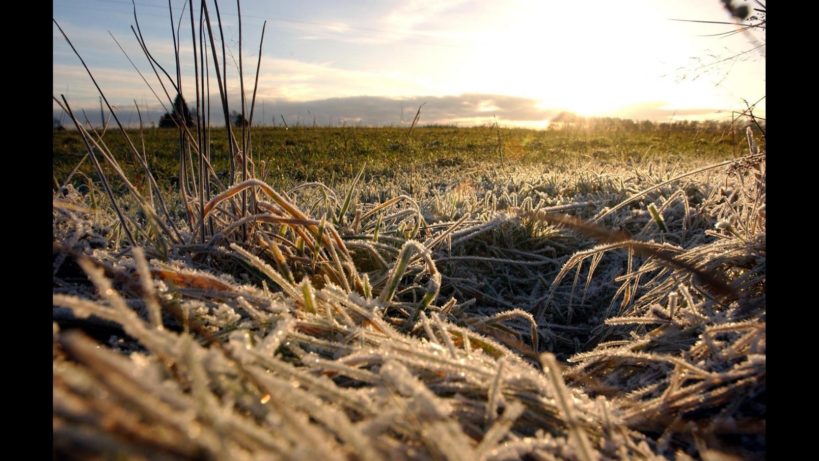 Maltempo, Coldiretti: allarme gelo nei campi dopo autunno caldo