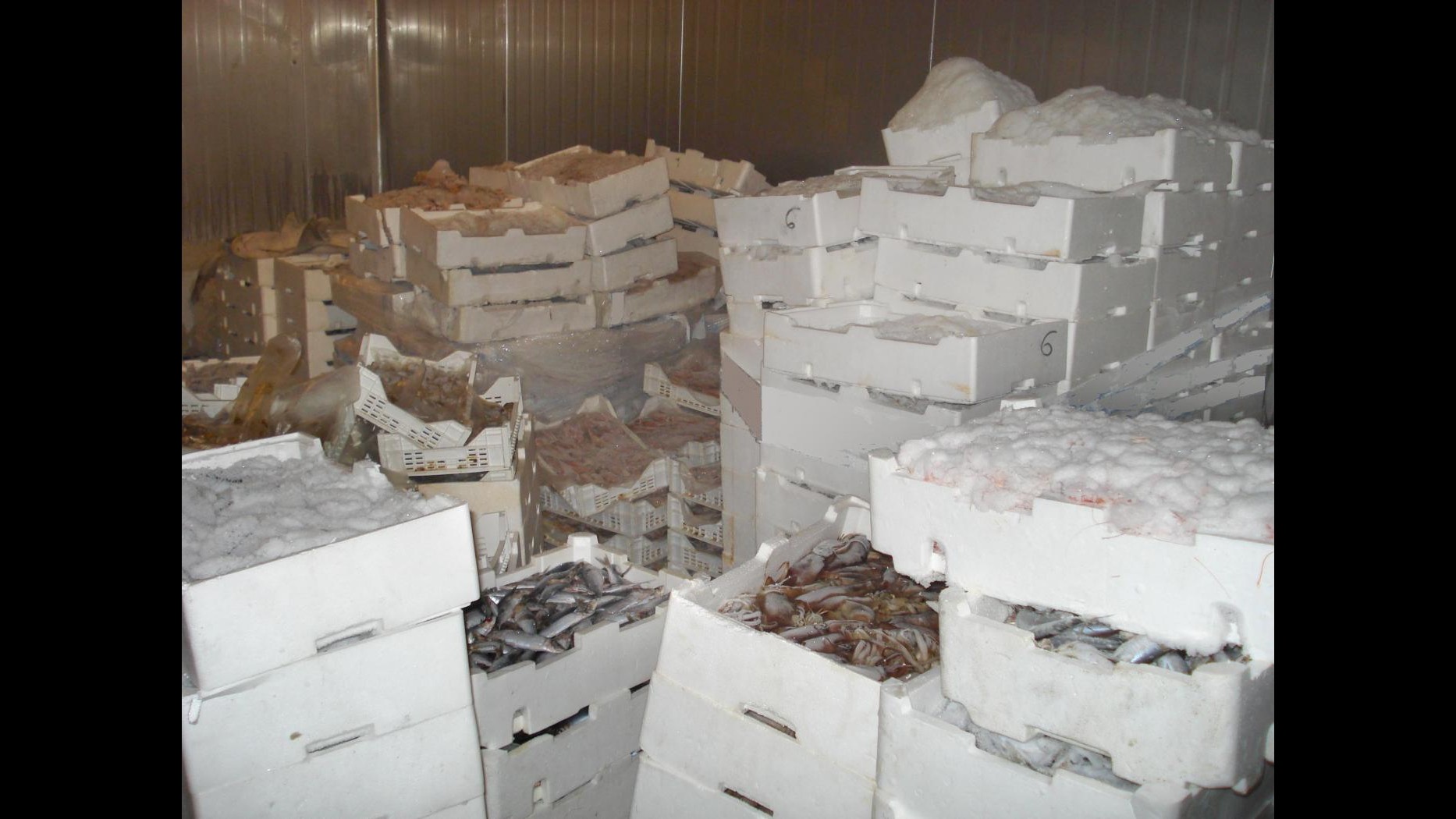 Napoli, sequestrate 120 tonnellate di prodotti ittici mal conservati