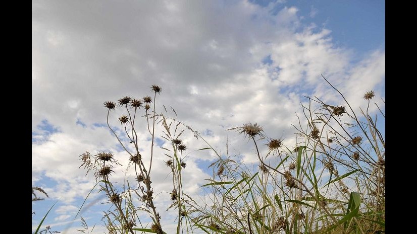 Meteo, svanisce l’illusione di primavera: da mercoledì ancora maltempo