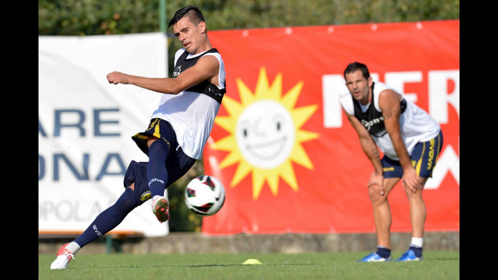 Chievo, Stoian: Bene i 24 punti, ora pensiamo al Bologna