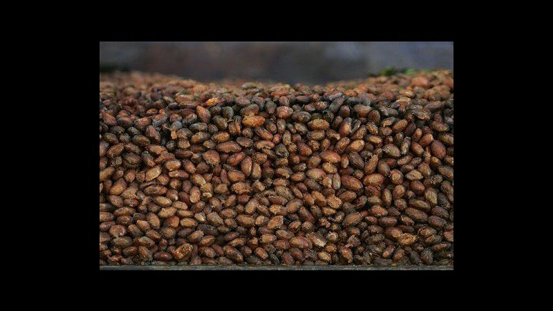 Pillole al cioccolato per evitare infarti? Al via studio negli Usa