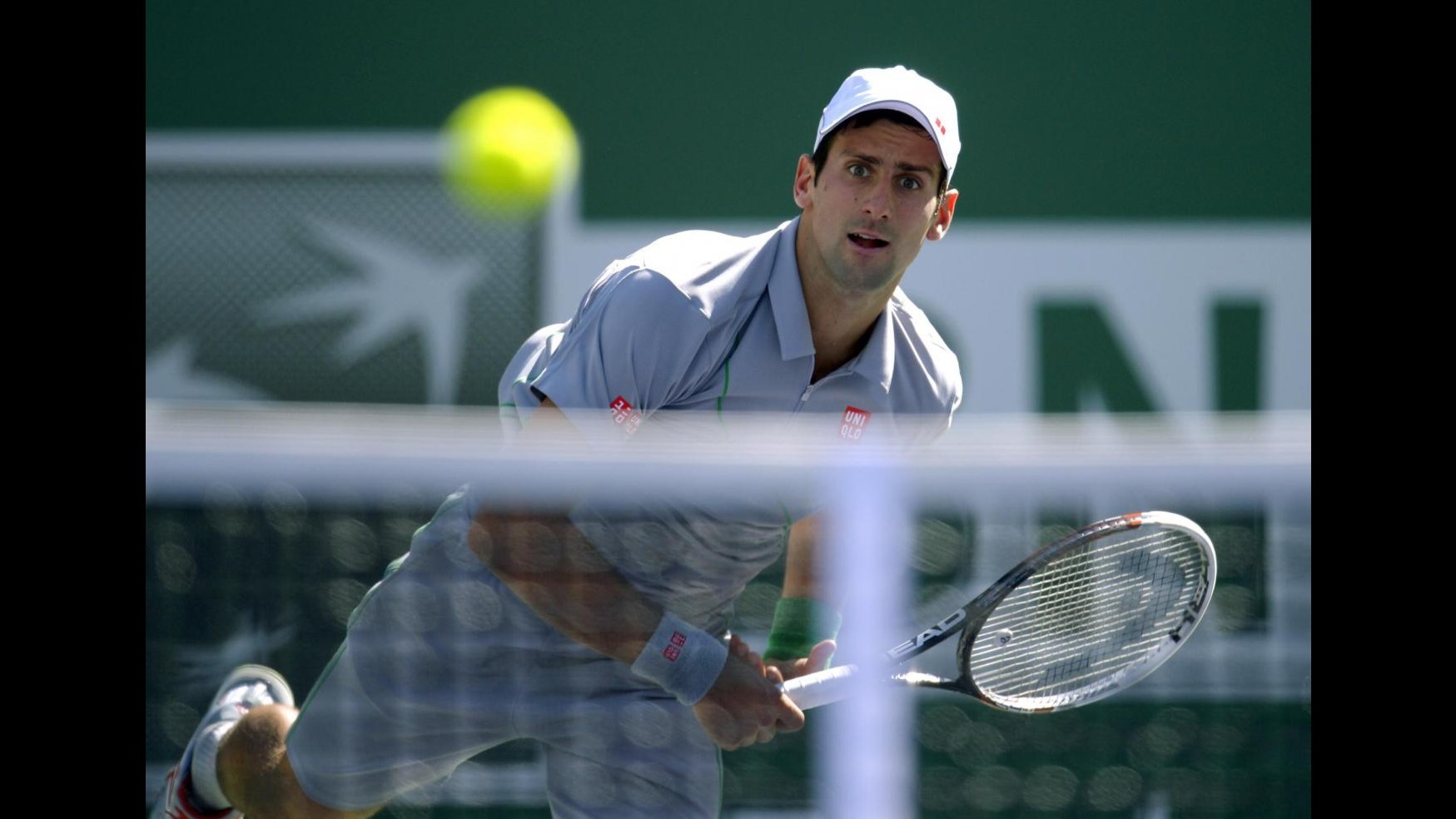 Tennis, Djokovic e Federer gran finale a Indian Wells. Pennetta per il titolo contro la Radwanska