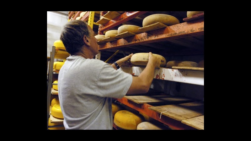 Ue-Usa alla ‘guerra dei formaggi’, Bruxelles chiede limiti ad uso nomi