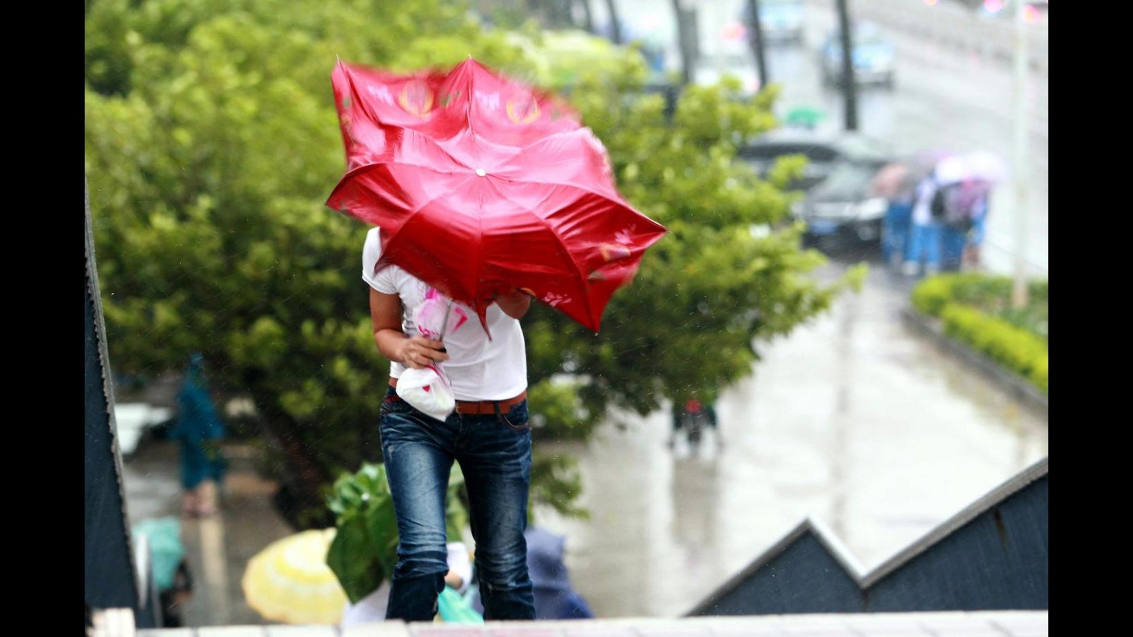 Maltempo, prosegue allerta: precipitazioni in tutta Italia
