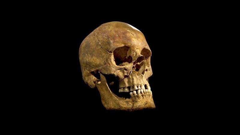 Scheletro trovato a Leicester è di Riccardo III