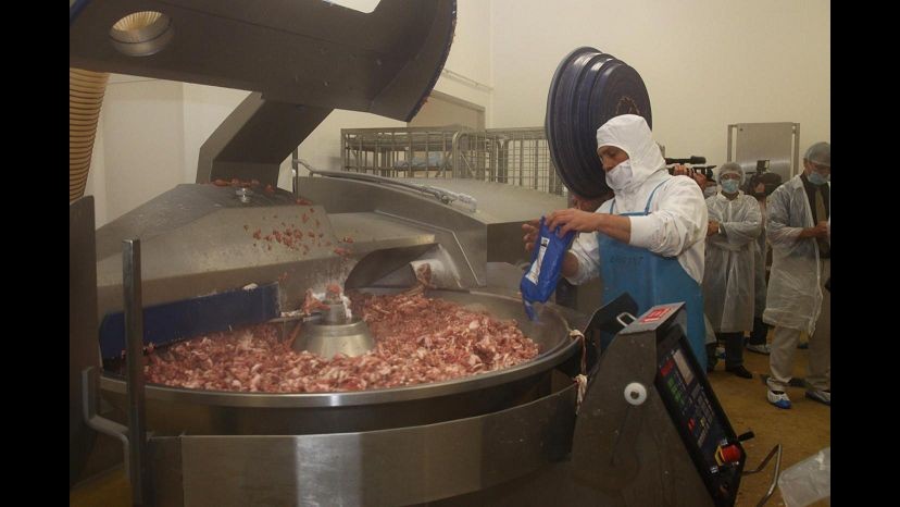 Carne cavallo, nessuna traccia Dna equino in carne Nestlè