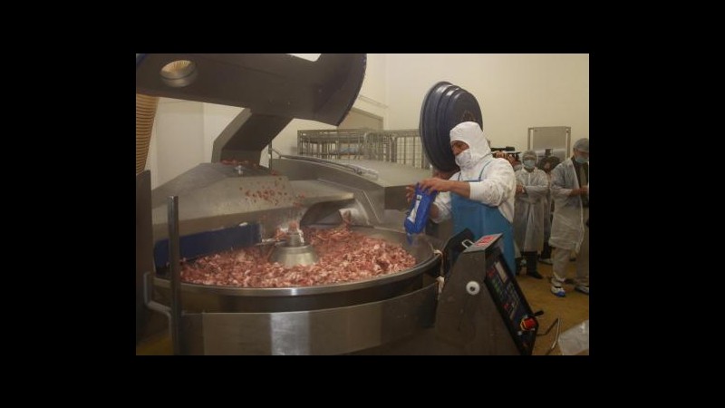 Carne cavallo, Francia restituisce parte di licenze a Spanghero