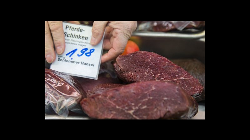 Carne cavallo, Germania promette controlli più rigidi