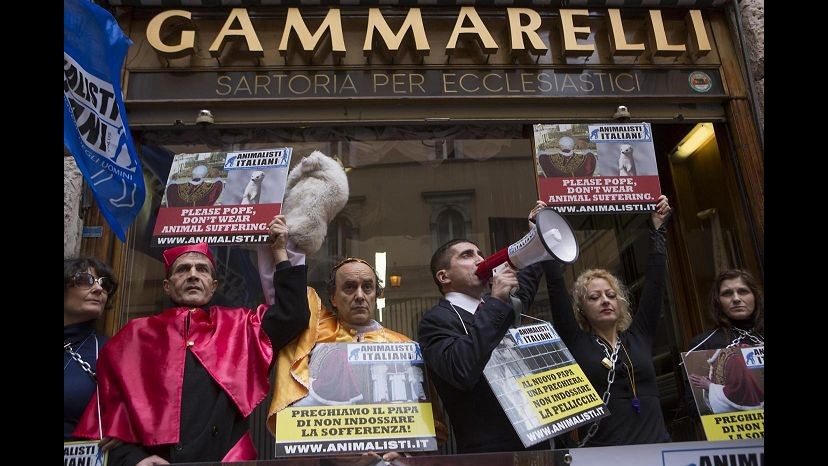Vaticano, animalisti protestano contro uso di ermellino per veste papa