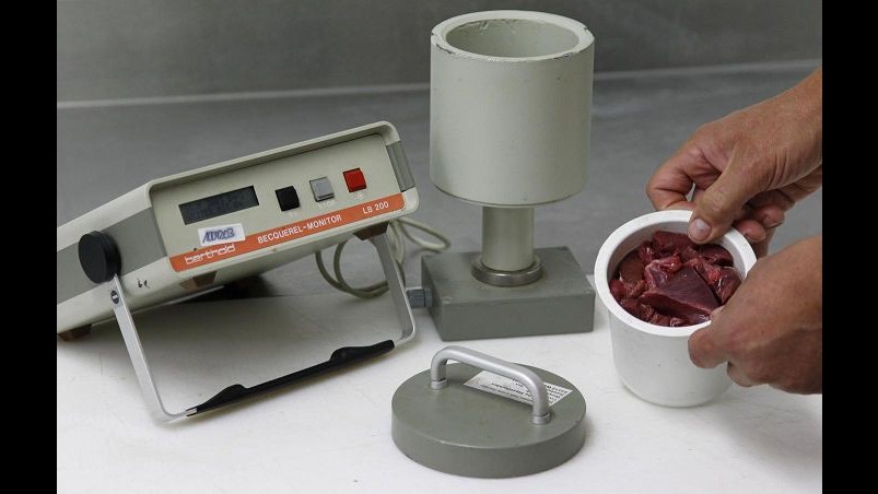 Cinghiali radioattivi in Valsesia. L’Arpa: Cesio è residuo Chernobyl