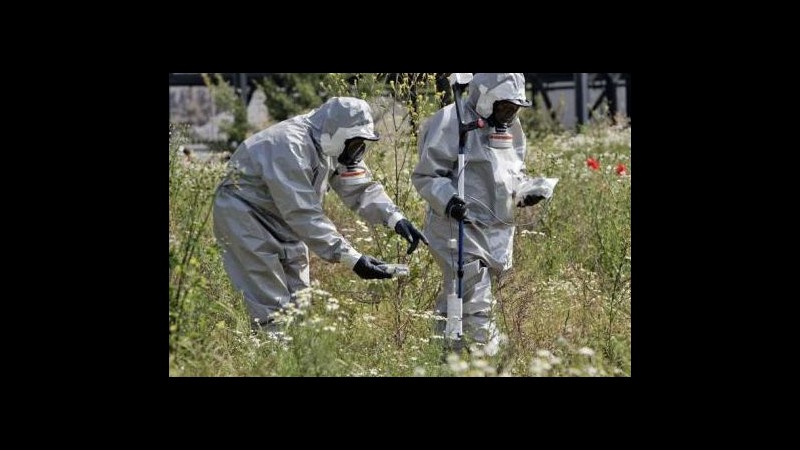 Salute, trovata radioattività in cinghiali della Valsesia