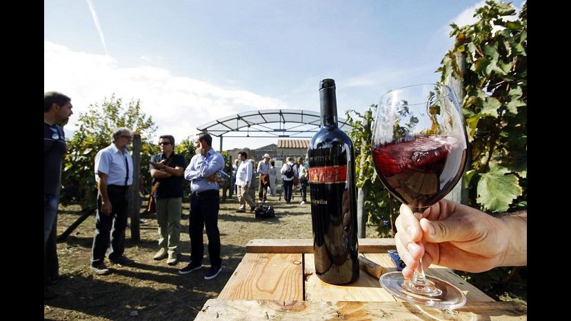 Agroalimentare: Nel 2013 sequestrate 9,6 tonnellate di falso made in Italy