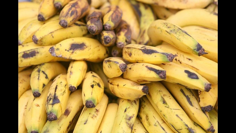 Germania, carico di banane con sorpresa: nelle casse 120 kg di droga