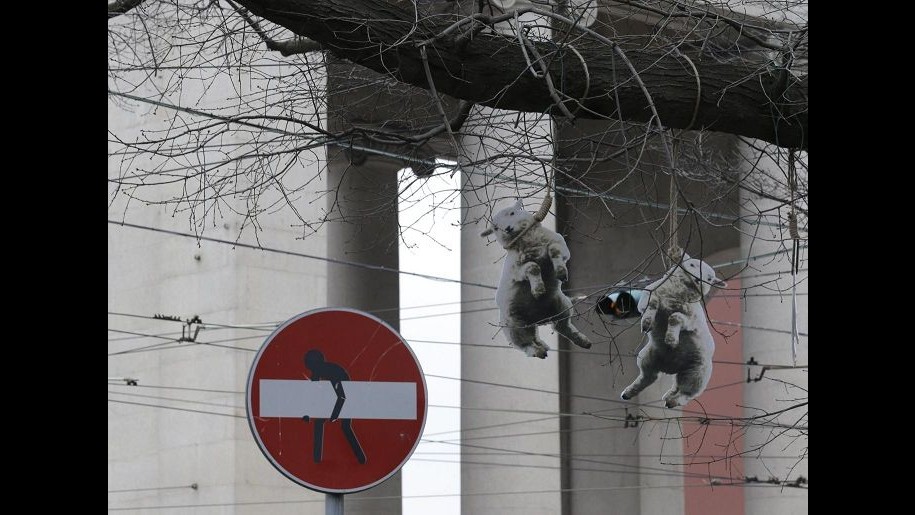 Pasqua, Federazione associazioni diritti animali: Scegliete menù veg