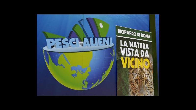 Ambiente, al bioparco di Roma arrivano i ‘pesci alieni’