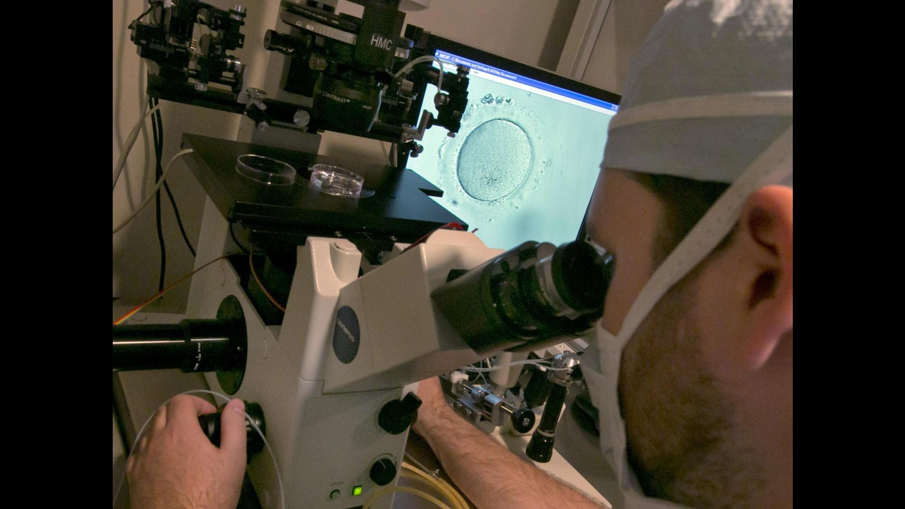 Test confermano scambio embrioni al Pertini di Roma, individuati i genitori