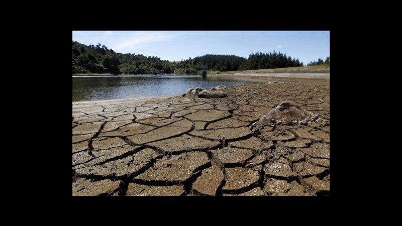 Nuova Zelanda dichiara la più estesa siccità da 30 anni