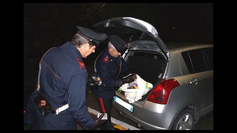 Torino, smantellate 2 bande di spacciatori nel pinerolese, 14 arresti