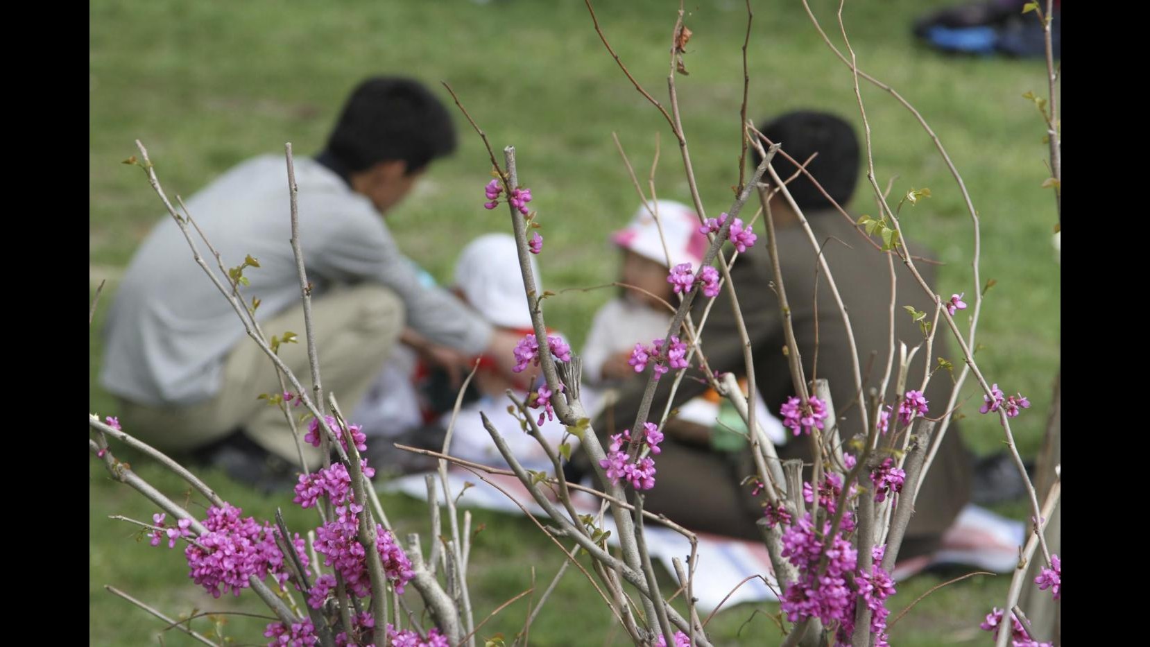 Coldiretti: Dopo Pasqua di risparmi, 51% italiani ‘esce’ per Pasquetta
