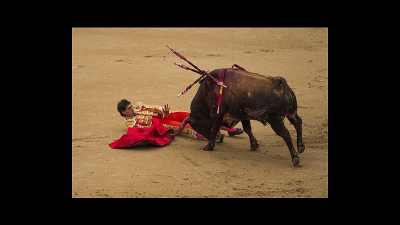 Spagna, tre matador feriti dai tori a Madrid: corrida interrotta