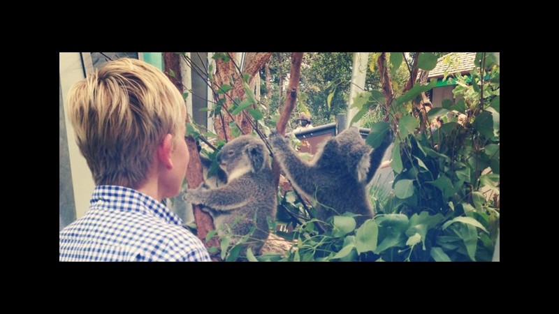 Ellen DeGeneres porta il suo show tv in Australia